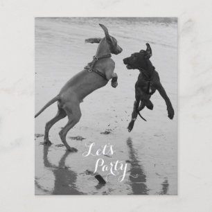 Birthday Dogs Flyer