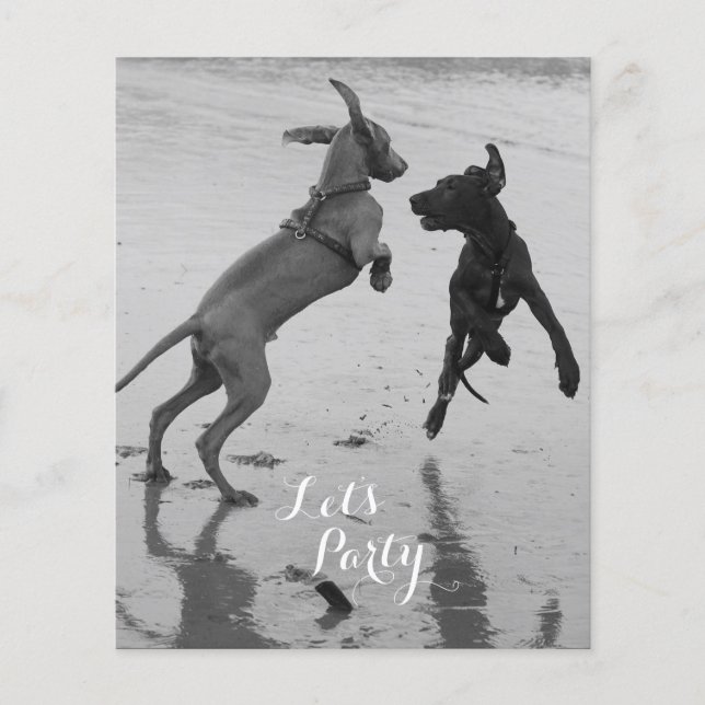 Birthday Dogs Flyer (Front)