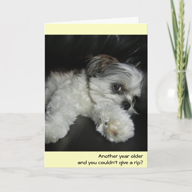 Birthday - don't give a rip! card (Front)