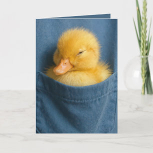 Birthday Duckling In a Blue T-shirt Pocket Card