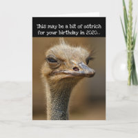 Birthday During 2020 Pandemic- Funny Ostrich