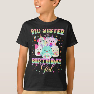Birthday Family Squish Squad Big Sister Of The Bir T-Shirt