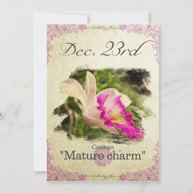 Birthday flowers on December 23rd "Cattleya" Card (Front)