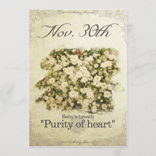 Birthday flowers on November 30th"Baby’s breath" Card