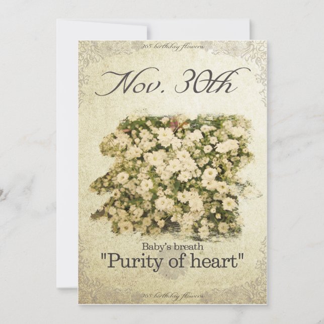 Birthday flowers on November 30th"Baby’s breath" Card (Front)