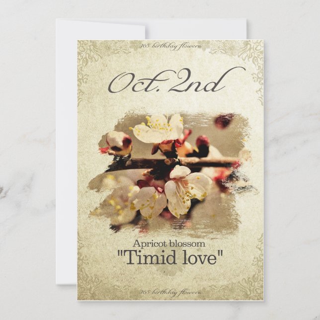 Birthday flowers on October 2nd "Apricot blossom" Card (Front)