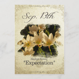Birthday flowers on September 13th "Zephyr flower" Card