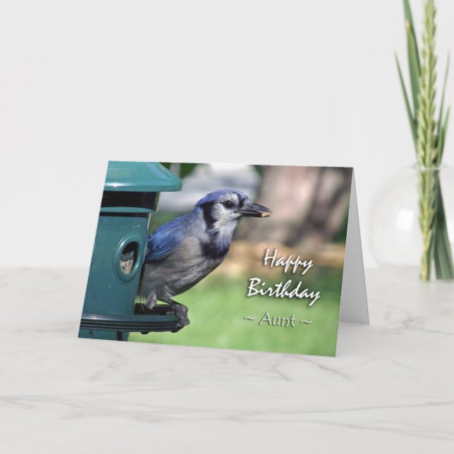 Birthday for Aunt, Blue Jay at Bird Feeder Card (Front)
