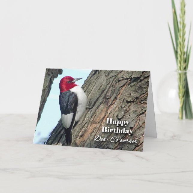 Birthday for Co-worker, Red-headed Woodpecker Card (Front)