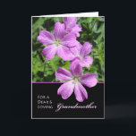 Birthday for Grandmother Cranesbill Geraniums Card<br><div class="desc">Happy Birthday for a grandmother / grandma. Card features Cranesbill geraniums in shades of purple and violet. Botanical / floral themed photograph. Art,  image,  and verse copyright © Shoaff Ballanger Studios.</div>