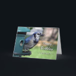 Birthday for Grandson, Blue Jay at Feeder Card<br><div class="desc">Photograph of a Blue Jay at a bird feeder. Perfect for that special bird lover. Birthday card for a grandson. Image and verse copyright © 2014,  Shoaff Ballanger Studios.</div>