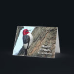 Birthday for Grandson, Red-headed Woodpecker Card<br><div class="desc">Funny birthday (BIRDday) card for a grandson. A Red-headed Woodpecker is featured on the cover.</div>