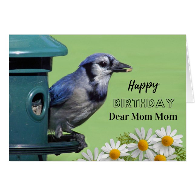 Birthday for Mum Mum, Blue Jay at Bird Feeder (Front Horizontal)