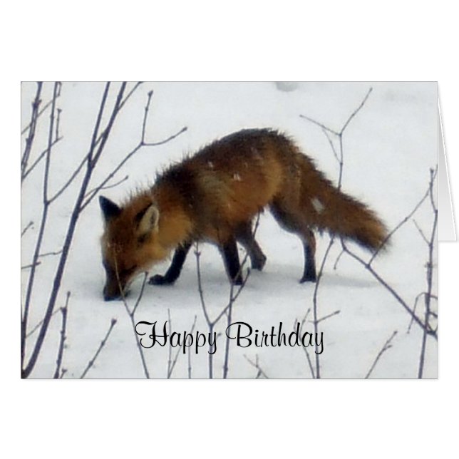 Birthday Fox in Snow Card (Front Horizontal)