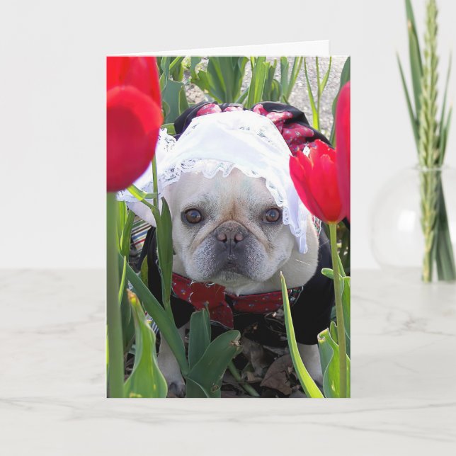 Birthday French Bulldog In a Dutch Tulip Garden Card (Front)