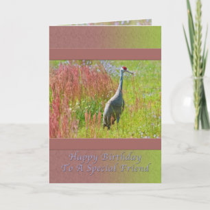 Birthday, Friend, Sandhill Crane Bird Card