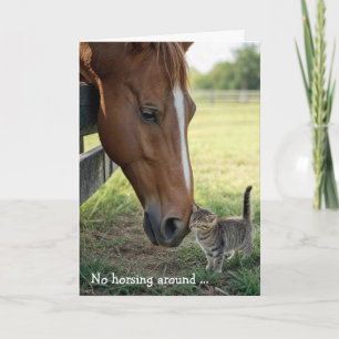 Birthday Friends Horse with Tabby Kittent Card