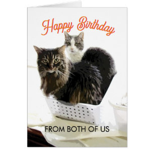 Birthday From Both Of Us Cute Cat Art 