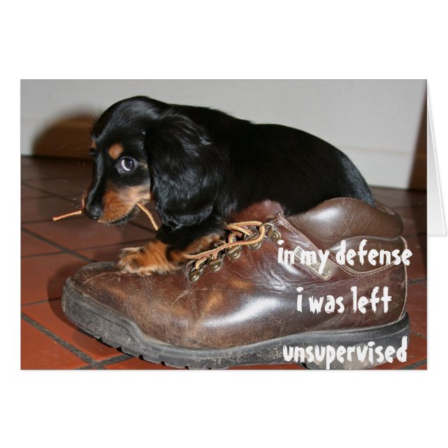 Birthday From Dog Puppy Chewing  Funny (Front Horizontal)