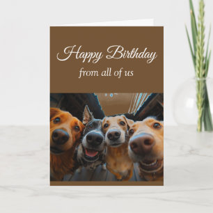 Birthday From the Group Fun Dogs Pet Animals Card