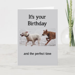 Birthday Fun Dogs Grabbing Tail Not Behave Card