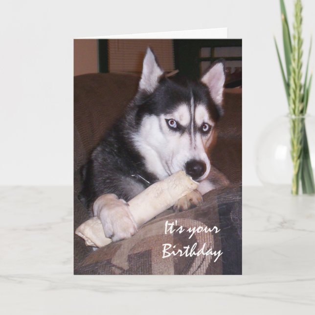 Birthday Fun Husky Fill the day Card (Front)