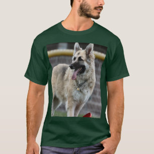 Birthday fun T-Shirt
