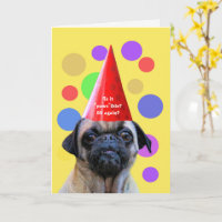 Birthday Funny 29 Again with Cute Dog