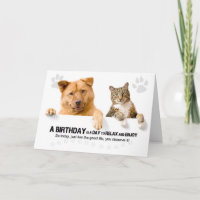 Birthday Funny Cat and Dog on White for Pet Lover