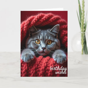 Birthday Gaze Cat Card