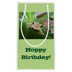 Birthday Gift bag, cute little frog in plant. Small Gift Bag