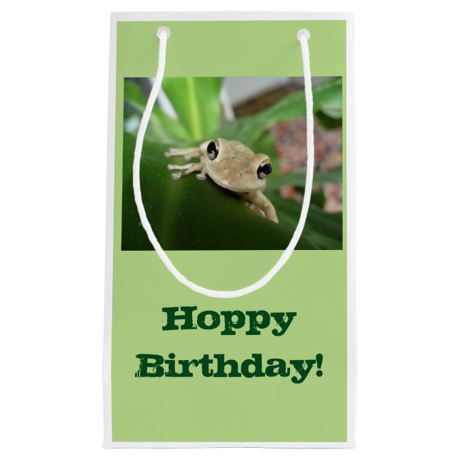Birthday Gift bag, cute little frog in plant. Small Gift Bag (Front)