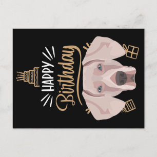 Birthday Gift Weimaraner Postcard