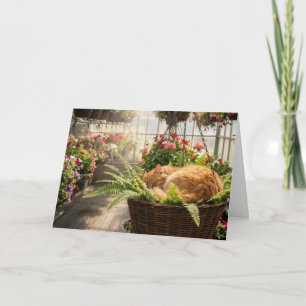Birthday Ginger Cat Napping in Hanging Fern Basket Card