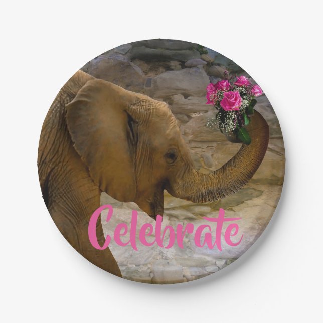 Birthday Girl Elephant Pink Floral Paper Plates (Front)