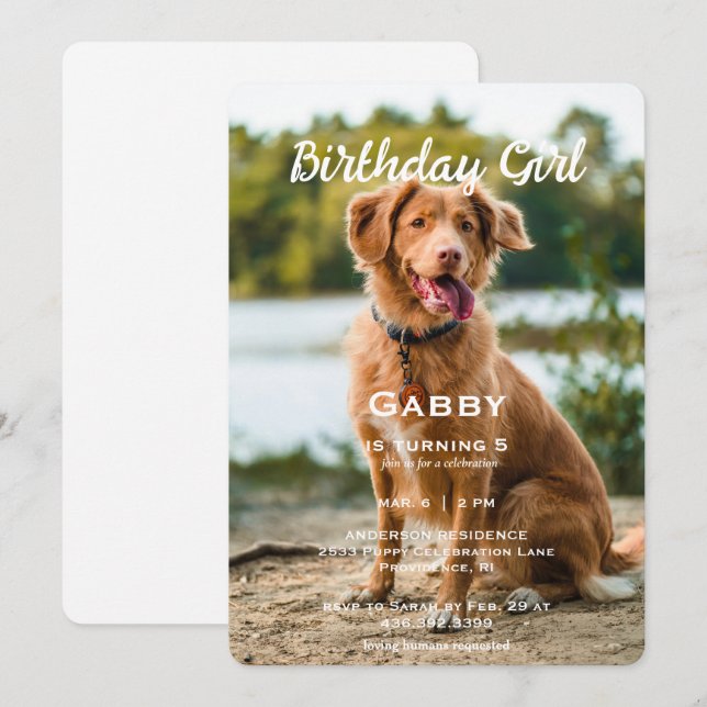 Birthday Girl Pet Photo Birthday Party Invitation (Front/Back)