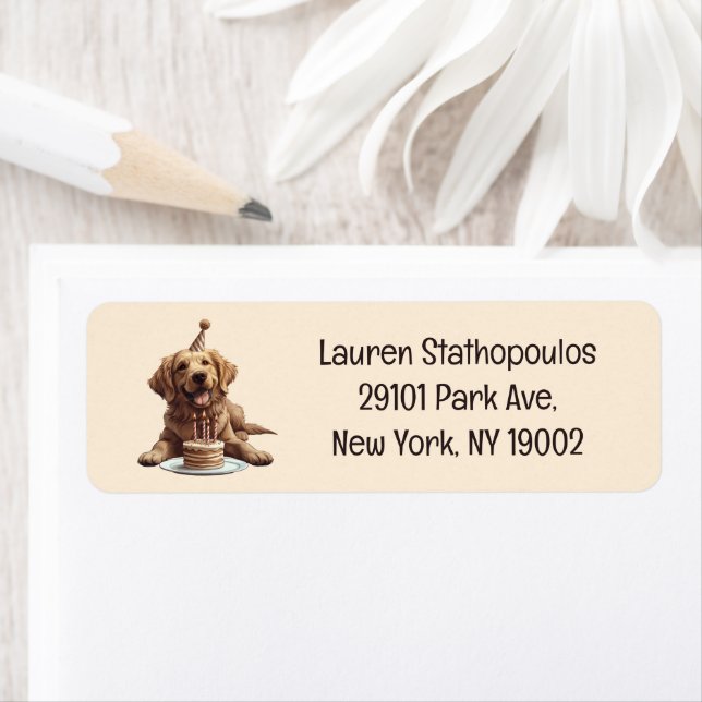 Birthday Golden Retriever Dog (Insitu)