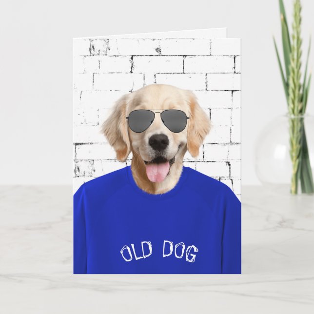 birthday golden retriever in blue t-shirt card (Front)