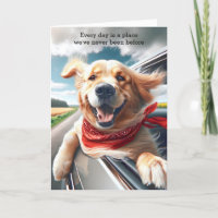 Birthday Golden Retriever in Car Window