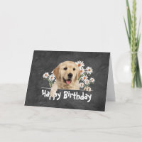 Birthday Golden Retriever on  Leather