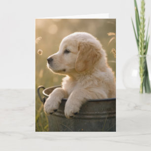 Birthday Golden Retriever Puppy in a Bucket Card