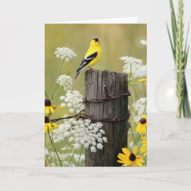 Birthday Goldfinch Singing on a Fence Post Card (Front)