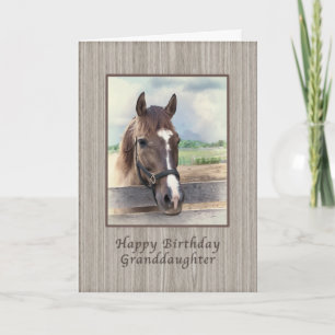 Birthday, Granddaughter, Brown Horse with Bridle Card