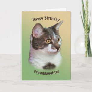 Birthday, Granddaughter, Golden-eyed Cat, Card