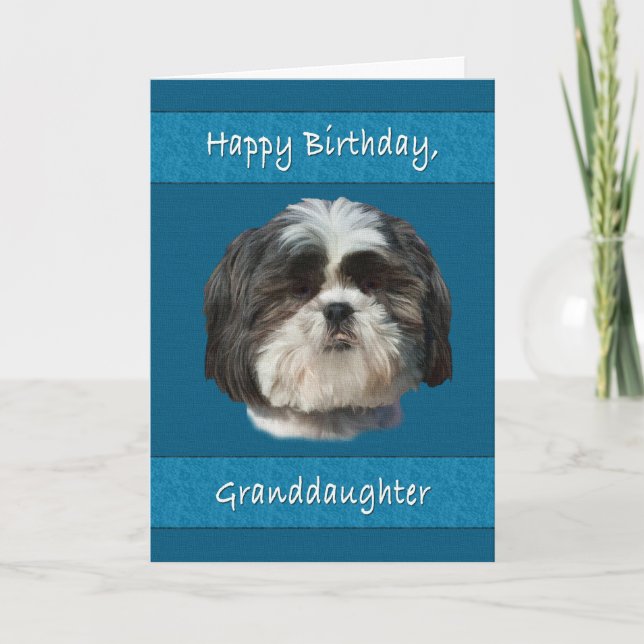 Birthday, Granddaughter , Shih Tzu Dog Card (Front)