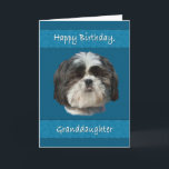 Birthday, Granddaughter , Shih Tzu Dog Card<br><div class="desc">This little Shih Tzu dog with his cute cuddly face adds appeal that any pet lover will like.  It’s especially nice for a birthday greeting card.</div>