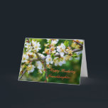 Birthday Granddaughter Sun-Dappled Spring Hawthorn Card<br><div class="desc">Floral series: A beautiful and delicate photo of a sprig of hawthorn,  full of spring blossom. 
In the language of flowers,  hawthorn stands for hope. 



image code: hrflo29</div>
