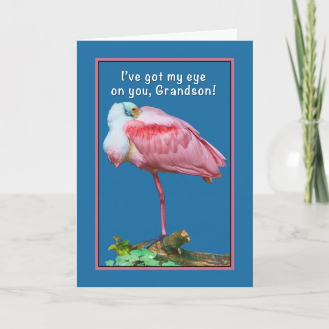Birthday, Grandson, Peekaboo Spoonbill Card (Front)