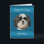 Birthday,  Grandson, Shih Tzu Dog Card<br><div class="desc">This little Shih Tzu dog with his cute cuddly face adds appeal that any pet lover will like.  It’s especially nice for a birthday greeting card.</div>