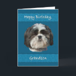 Birthday,  Grandson, Shih Tzu Dog Card<br><div class="desc">This little Shih Tzu dog with his cute cuddly face adds appeal that any pet lover will like.  It’s especially nice for a birthday greeting card.</div>